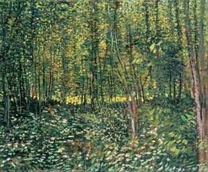 Alberi e sottobosco, 1887